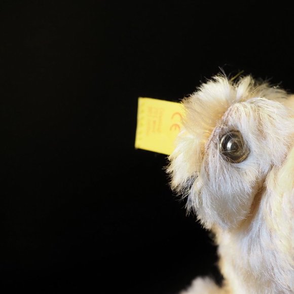 Genuine Steiff Bear Classic Teddy Bear from Germany Price is Firm. - Picture 3 of 8